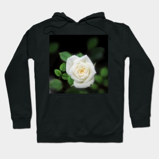 Shabby chic Pale Pink Rose Flower Hoodie